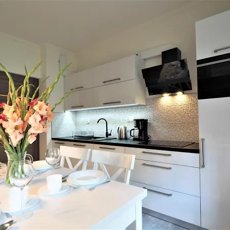 Vip Krupówki Apartamento Zakopane